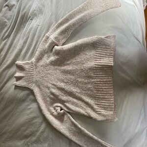 Banana Republic Cozy Turtle Neck